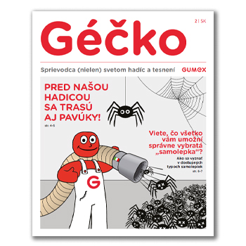 Géčko č. 2